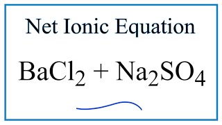 How to Write the Net Ionic Equation for BaCl2  Na2SO4  BaSO4  NaCl [upl. by Lahcsap]