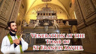 🙏🙏Veneration at the Tomb of St Francis Xavier 🙏 Basilica of Bom Jesus  4 Oct 2024 oldgoachurch [upl. by Edyak]