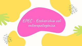 EPEC  Escherichia coli enteropatogênica [upl. by Enilkcaj]