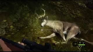 Killing a blacktail deer  hunter call of the wild [upl. by Eesak693]