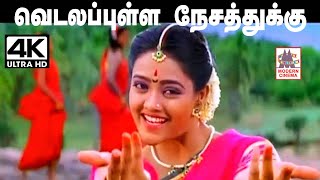 Vidala pulla nesathukku Song இசைஞானி இசையில் சுவர்ணலதா பாடிய வெடலப்புள்ள நேசத்துக்கு [upl. by Kreg618]