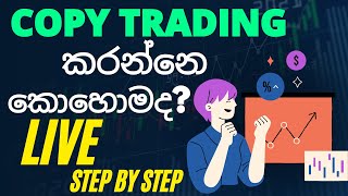 copy trading කරන විදිහ live copy trading sinhala step by step sl trading academy [upl. by Aniara24]