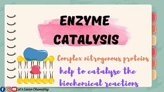 Enzyme catalysis class 11 Examples of enzyme catalysis chemistry [upl. by Witkin255]