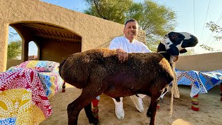 3 HOURS OF COOKING A WHOLE 30 KG OF LAMB  THE MOST DELICIOUS DUM PUKHT  Village Food Secrets [upl. by Borer]