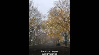 quotFirst Snowfall Winter Officially Begins ❄️❄️✨quot lethbridge snow snowfall shortvideo canada [upl. by Baiss238]