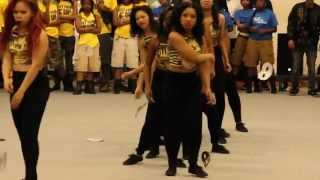 Missouri State Non Greek Stroll Off 2014 [upl. by Julina119]