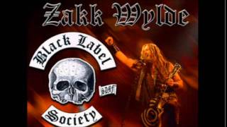 Black Label Society  Zakk Wylde  In This River Acoustic [upl. by Tcideneb]