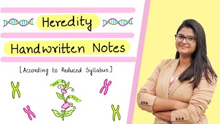 Class 10 Biology  Heredity Handwritten Notes [upl. by Sallad]