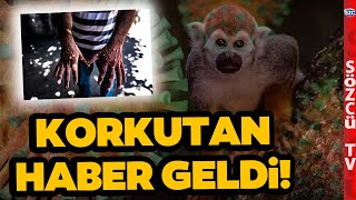 SON DAKİKA Maymun Çiçeği Kapıya Dayandı Virüs İlk Kez Avrupada Görüldü Korkutan Haber [upl. by Eelana]