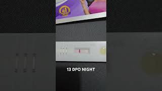 TTC 1  13 DPO Night  Pregnancy test  Faint line  21 Sept 2024  Baby Bump ttcjourney [upl. by Bran786]