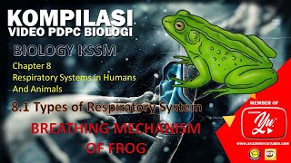 82 Breathing mechanism of frog [upl. by Naillimixam]