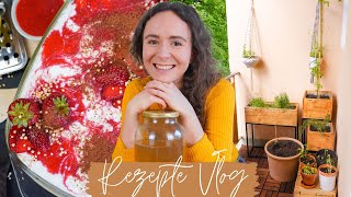 VLOG » Veganes Tiramisu Kombucha selber machen Alltag amp Grillen [upl. by Homere526]