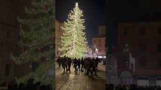 Albero di Natale Bologna 2024 da lontano [upl. by Cnahc334]