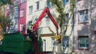 Tree removal with GMT050 grapple saw and container truck [upl. by Quickel]