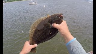 Flounder Fluke Fishing with the 4quot Shrimp Gulp [upl. by Brookhouse]