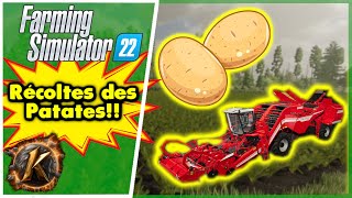 En fait la patates quand ten fais pas beaucoup cest cool farmingsimulator [upl. by Analem]