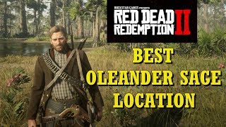 Red Dead Redemption 2 Best Oleander Sage Location [upl. by Yoreel]