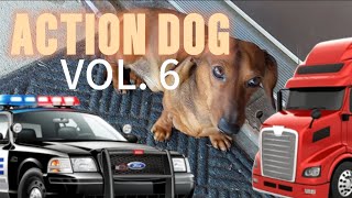 ACTION DOG Volume 6 [upl. by Yeca]