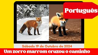 🔴 Informativo Mundial das Missões Menores  19 de Outubro de 2024  Um zorro marrom cruzou o caminho [upl. by Neils]