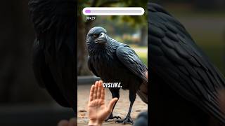 The mystery behind crows shorts viral animals [upl. by Wanids]