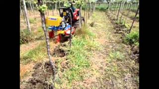 Attrezzatura per vigne con lama interfilare dx modello EXPO SINGOLO B [upl. by Liagaba]