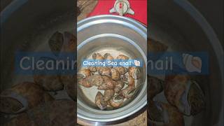 How to clean sea snail🐚🌊 in Tamil கடல் நத்தை சுத்தம் செய்முறைsujinSRLifestyle shorts trending [upl. by Pentheam]