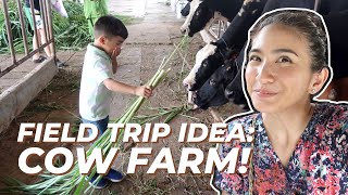 Field trip to a COW FARM in BATANGAS [upl. by Eirod]