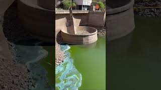 El lago San Roque con CIANOBACTERIAS Y SIN AGUA 🔴 [upl. by Nylsoj470]