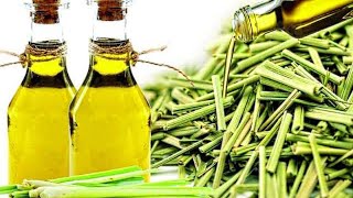 How to Make Lemongrass Oil at Home [upl. by Zumstein]