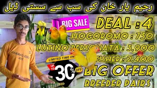 Deal4 Rahim yar khan ki sub Se Sasti DealLutino PersonataFisherHogoromo Deals [upl. by Ettennad]