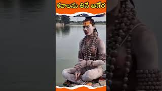 aghori song aghorisadhna [upl. by Nahgam]