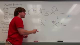 Acetal Protecting Group Mechanism [upl. by Arvo]