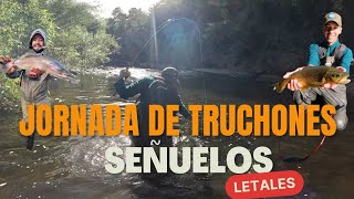 TRUCHONES CON EQUIPO UL 🎣💪 ESTOS SON LOS SEÑUELOS PERFECTOS PARA USAR EN VERANO 🔥 RÍO MARAVILLOSO 👏 [upl. by Smaj]