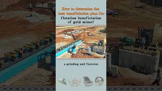 How to determine the best beneficiation plan for flotation beneficiation of gold mines [upl. by Poulter]