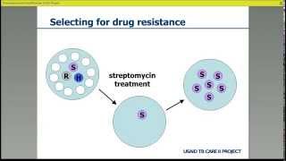 Tuberculosis How It Spreads [upl. by Klehm]