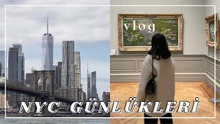 Vlog  New York Günlükleri  Dumbo’dan Manhattan manzarası The Met turu Central Park’ta piknik [upl. by Jaclin]