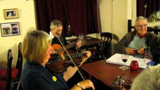 Pig Ankle Rag at the Bell Inn Ash Martock Somerset traditional folk music tune session [upl. by Nairahcaz]