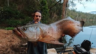 GIANT PREDATOR FISHSARATOGA fishing  part 2 quest for an 80 BORUMBA DAM [upl. by Townshend231]