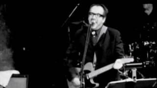 Elvis Costello Live  Welcome to the Working Week [upl. by Reivax385]