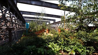 Sneak peek of Castlefield Viaduct ‘sky park’ in Manchester [upl. by Namyaw]