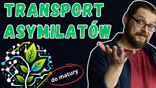 Transport asymilatów w roślinie  fizjologia roślin  cukier transportowy  sacharoza [upl. by Emilia]