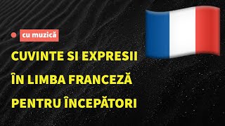 Cuvinte și fraze in limba franceză pentru începători Învață limba franceză ascultând muzică [upl. by Lleihsad118]