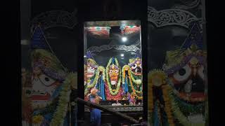 Morning Jagannath mantra Aarti morningaarti jagannathaarti mantra mantras shortvideo shorts 🙏 [upl. by Ainimre]