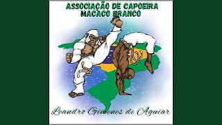 Capoeira Tem Fundamento [upl. by Notlaw]