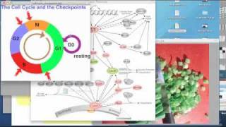 Chromosome Damage and Remedy Recharge Biomedical  Dr Ed Park [upl. by Derinna898]