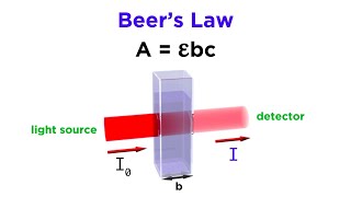 Spectrophotometry and Beers Law [upl. by Niasuh970]