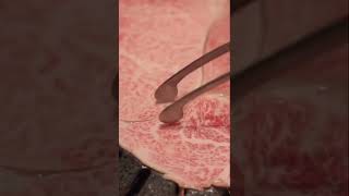 Thinly Sliced Wagyu Grilled YakinikuStyle  OSAKA Japan [upl. by Fanchie]