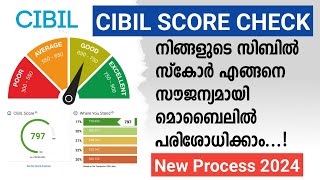 How to check your CIBIL score in online 5 minute with mobile  Google pay CIBIL scor check malayalam [upl. by Eddi]