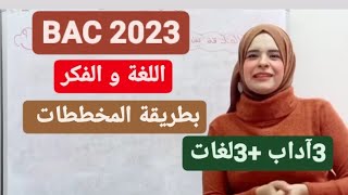 العلاقة بين اللغة و الفكر بطريقة المخططات [upl. by Kimmy310]