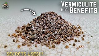 How To Use Vermiculite For Plants Its Benefits amp Side Effects [upl. by Nalyorf]